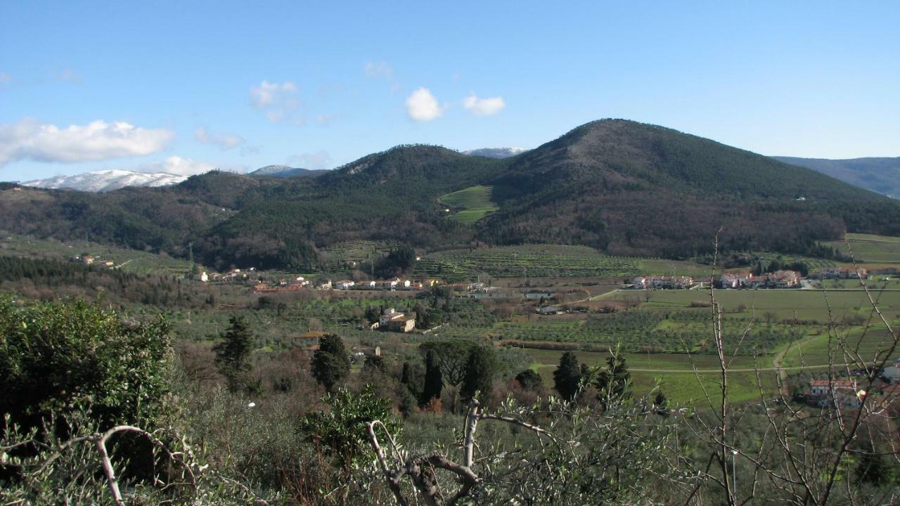 モンテムルロ Borgo Della Rocca Bed & Breakfast エクステリア 写真
